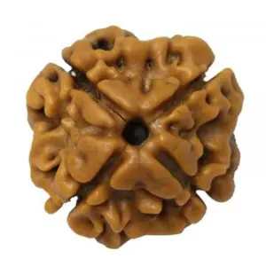 9 mukhi